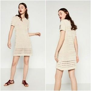 Zara Tan Nude Knit Short Sleeve Sheath Dress